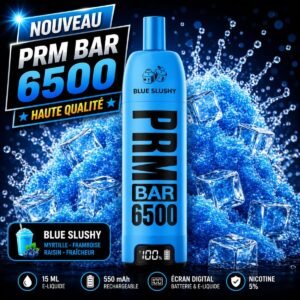 blue slushy – Boutique Cigarettes Electroniques, nicotine pouches et E-Liquides Casablanca Maroc