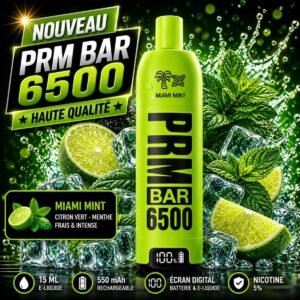 miami mint – Boutique Cigarettes Electroniques, nicotine pouches et E-Liquides Casablanca Maroc